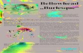 WP 87132 Info e-ohne€¦ · Eliza Carthy & the Ratcatchers) - Influences: Morris Dance music, John Kirkpatrick / 70’s funk / disco Benji Kirkpatrick – guitar / bouzouki / mandolin