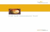 CAP Self-Assessment Tool - Sun Life€¦ · Service providers include any provider of service or advice required by the CAP sponsor in the design, establishment and operation of a