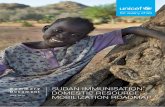 Summary SUDAN IMMUNISATION Document DOMESTIC … · 2019. 5. 29. · on immunisation financing in Sudan, including stakeholder roles, health expenditure mechanisms and entry-points