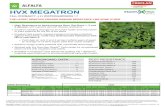 HVX MEGATRON - Microsoft€¦ · HVX MegaTron was developed to be highly resistant to this new race of Anthracnose. APHANOMYCES ROOT ROT Infects roots; causes stunting, reduced nodulation