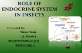 ROLE OF ENDOCRINE SYSTEM IN INSECTSrnlkwc.ac.in/pdf/study-material/zoology/ENDOCRINE.pdf · The Insects: Structure and Function, 5th Edition,2013 - R.F.Chapman Physiological Systems