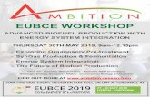 ADVANCED BIOFUEL PRODUCTION WITH ENERGY SYSTEM … · EUBCE WORKSHOP ADVANCED BIOFUEL PRODUCTION WITH ENERGY SYSTEM INTEGRATION THURSDAY 30TH MAY 2019, 9am-12.15pm Exploring Organosolv