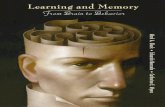 Learning and Memory - The Eye · newsletter, Memory Loss and the Brain.Her research includes both computational neuroscience and experimental psychology, and focus-es on human memory,