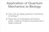 Application of Quantum Mechanics to Biology · Quantum Mechanics in the Visual System • Two types of cells that sense light - Rod and Cone cells • Rod cells - absorb 500nm •