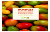 Table of Contents - Mango.org · Mangos produce ethylene, a naturally occurring ripening hormone. A mature piece of fruit will respond to the ethylene, and will ripen normally on
