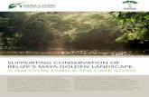 SUPPORTING CONSERVATION OF BELIZE’S MAYA GOLDEN …...Fauna & Flora International (FFI) and Ya’axché Conservation Trust ( Ya’axché) have been working together since 1998 to
