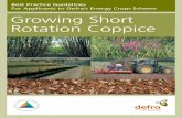 Best Practice Guidelines For Applicants to Defra’s Energy Crops … · 2018. 5. 22. · in the UK is short rotation coppice (SRC), primarily willow, although poplar has been used
