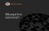 Blueprint - boldfacemarketing.net€¦ · 6. Provides a prioritised, recommended marketing capability development programme 7. Recommends a goal-aligned, customer-centric marketing