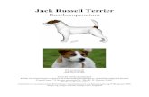 Jack Russell Terrier · 2015. 3. 24. · Jack Russell Terrier Kommentarer til rasestandaren. Kommentarene angis i kursiv stil. Mye av teksten er hentet fra Siw Jernhakes svenske oversettelse