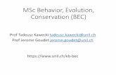 MSc Behavior, Evolution, Conservation (BEC) · • convergent evolution of genomes and phenotypes. (1) Use statistics and computers for biology. Genomics. Ant social chromosome. Species