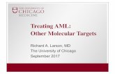 Treating AML: Other Molecular Targets · Satya Kosuri, MD Richard A. Larson, MD Hongtao Liu, MD, PhD Toyosi Odenike, MD Michael J. Thirman, MD Biostatistics Ted Karrison, PhD Hematopathology