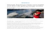 Georgia Aquarium loses court battle and won't be getting ...mrscvfscience.weebly.com/uploads/5/4/1/6/54165911/ga_aquarium.… · aquarium a permit to import the beluga whales. U.S.