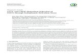 Research Article ATF4- and CHOP-Dependent Induction of ...downloads.hindawi.com/journals/bmri/2014/807874.pdfResearch Article ATF4- and CHOP-Dependent Induction of FGF21 through Endoplasmic