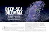 DEEP-SEA DILEMMA ceans, sponges, sea cucumbers, starfish, brittlestars, sea urchins and various deep-sea
