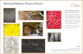 Bowland Mystery Picture Puzzle · Bowland Mystery Picture Puzzle Test your observation skills without leaving the house! Each of these photographs is of something you would find in