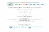 Methodology for assessing and mapping the heat demand · “Intelligent Energy – Europe” Programme Project BIOENERGIS – IEE/07/638/SI2.499702 GIS-based decision support system