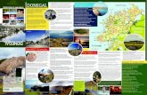 19 Donegal Map · 2019. 8. 13. · Donegal Town Donegal Abbey & Bay @ Sunset Donegal Abbey - Overlooking Donegal Bay, Donegal Abbey was erected in 1474 for the Franciscan Friars by