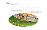 Economic impacts of Xylella fastidiosa on the Australian wine … · 2017. 11. 29. · Xylella fastidiosa. on Australian wine grape and wine -making industries 1 . Summary . This