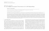 ReviewArticle N-AcetylglucosamineFunctionsinCellSignalingdownloads.hindawi.com/journals/scientifica/2012/489208.pdf · Scienti ca 5 F 3:NAGreguloninC.albicans. eC.albicansHXK1,NAG1,