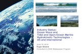 Industry Status: Ocean Wave and Tidal and Open-Ocean ... · Industry Status: Ocean Wave and Tidal and Open-Ocean Marine Hydrokinetic Technologies - US and International June 15, 2010