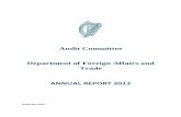 Audit Committee Department of Foreign Affairs and Trade · 2020. 2. 19. · Mr Donal Corcoran is a Chartered Management Accountant and retired management consultant (July 2010). Mr.