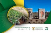 ANNUAL PERFORMANCE PLAN 2018/ 2019 · Annual Performance Plan 2018/2019 RP101/2018 ISBN: 978-0-621-46233-3