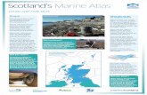 Scotland’s Marine Atlas · Scotland’s Marine Atlas CLEAN AND SAFE SEAS General The sea acts like a sink, absorbing chemical contaminants from the atmosphere. Plants and animals