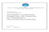 ANTI-MONEY LAUNDERING, COMBATING THE FINANCING OF ...€¦ · V INTERNAL CONTROLS AND PROCEDURES OF AML/CFT/CPF SYSTEMS 23 13 Internal Controls for Insurance Companies 23 Internal