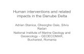 danube delta human interventions - C.U.G.RI€¦ · Danube Delta distributaries at the mouth zones for the 1840 -2003 period After Bondar, 2003. Embankment of the floodplain upstream