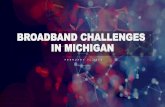 BROADBAND CHALLENGES IN MICHIGAN - IPPSR...Blocks of broadcast spectrum between frequencies assigned to TV stations Used to create wireless broadband connections over long distances