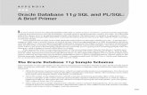 Oracle Database 11g SQL and PL/SQL: A Brief Primer3A978-1... · If you’ve created a starter database using the Database Configuration Assistant (DBCA) as part of your Oracle software