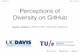 Perceptions of Diversity on GitHubattribute and less so in others. Diversity attributes may also interact (e.g., in some nations, female professionals may face more obstacles), which