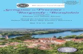 Springtime in Provence Burgundy Beaujolais · Join us for a nine‑day French sojourn in Provence and the Burgundy and Beaujolais wine regions au printemps (in springtime), the best