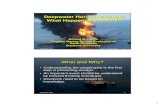 Deepwater Horizon Accident2 Horizon Accident2.pdf · – BP Deepwater Horizon Accident Investigation Report (Sept 8) ... Conducted soon after cementing c) Confusing because of unusual