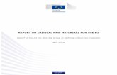 REPORT ON CRITICAL RAW MATERIALS FOR THE EUhytechcycling.eu/wp-content/uploads/report-on-critical...Report on Critical raw materials for the EU Page 3 of 41 1. EXECUTIVE SUMMARY Raw