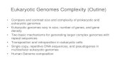 Eukaryotic Genomes Complexity ( Outine)faculty.sdmiramar.edu/bhaidar/Bio 210A Course Documents...Eukaryotic Genomes Complexity ( Outine) • Compare and contrast size and complexity