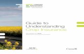 Guide to Understanding Crop Insurance Deadlines Deadline to apply, reinstate, cancel or make changes
