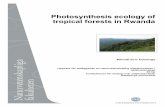 Photosynthesis ecology of tropical forests in Rwanda...In global carbon and climate models, terrestrial carbon uptake is modelled using the well established biochemical model of photosynthesis