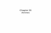 Chapter 20 Amines - Eastern Mediterranean Universityopencourses.emu.edu.tr/.../4683/mod_forum/attachment/2464/chapt… · Chapter 20 7 Structure of Amines The nitrogen atom in an