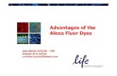 Advantages of the AlexaFluor Dyes - UNICAEN · 01 Imaging issues and Alexa Fluor Author: Jean-Michel.Cocchi Created Date: 9/22/2009 11:41:40 AM ...