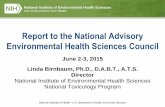 Report to the National Advisory Environmental Health ......National Institutes of Health • U.S. Department of Health and Human Services Report to the National Advisory Environmental