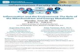 Inflammation and the Environment: The Role of the ...€¦ · Inflammation Faculty Workshop Inflammation and the Environment: The Role of the Mitochondrion and Energy Metabolism Monday,