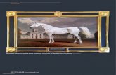 of Polish private Arabian horse breeding. · Arabian horse breeding (1778–1978) and its successes worldwide”. Th e 19th century saw an impressive development of magnate stud on