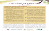 Climate-Smart Agriculture in Zambia€¦ · dependent on precipitation. Across the country, livestock constitute 20% of the household assets, and contribute 6% to smallholder household