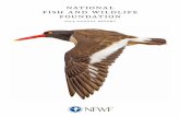 national fish and wildlife foundation · 2020. 1. 21. · As the National Fish and Wildlife Foundation (NFWF) begins its fourth decade of building conservation partnerships between