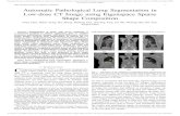 Automatic Pathological Lung Segmentation in Low-dose CT … Papers/chengeng2018.pdf · 2019. 3. 4. · thresholding based pathological lung segmentation method. The threshold value