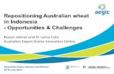 Repositioning Australian wheat in Indonesia ... · Indonesia Australia Population (million) 246 23 Wheat consumption kg/capita pa 21.5 145 Total wheat consumption mmt (2012) 6.35