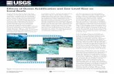 Effects of Ocean Acidification and Sea-Level Rise on · Effects of Ocean Acidification and Sea-Level Rise on Coral Reefs Printed on recycled paper Coral reefs are vital to the long-term