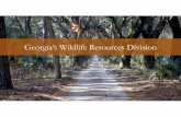 Department of Natural Resources...•1.2 million resident anglers in Georgia •630,000 people annually hunt in Georgia •2.4 million people annually participate in wildlife-watching