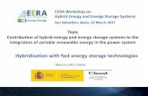 Topic Contribution of hybrid energy and energy storage ... · (CSIC, UPM, UAM, CNH2, IMDEA) - Use of the unique experimental laboratories of CIEMAT to provide 25% of the time in experimental